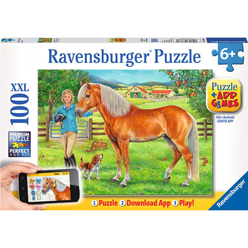 My Favorite Horse