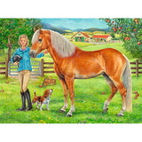 My Favorite Horse