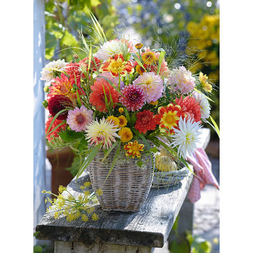 Beautiful Flowers