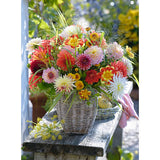 Beautiful Flowers