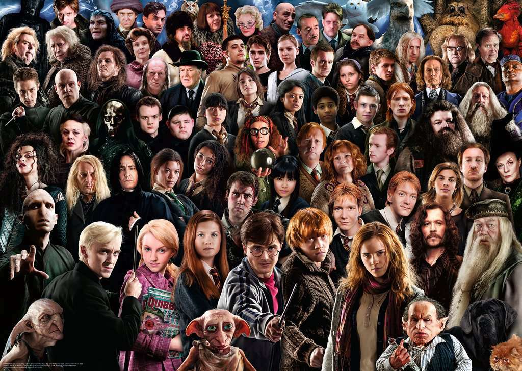 Harry Potter Challenge (1000 pc Puzzle)