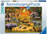 Gathering at the Waterhole