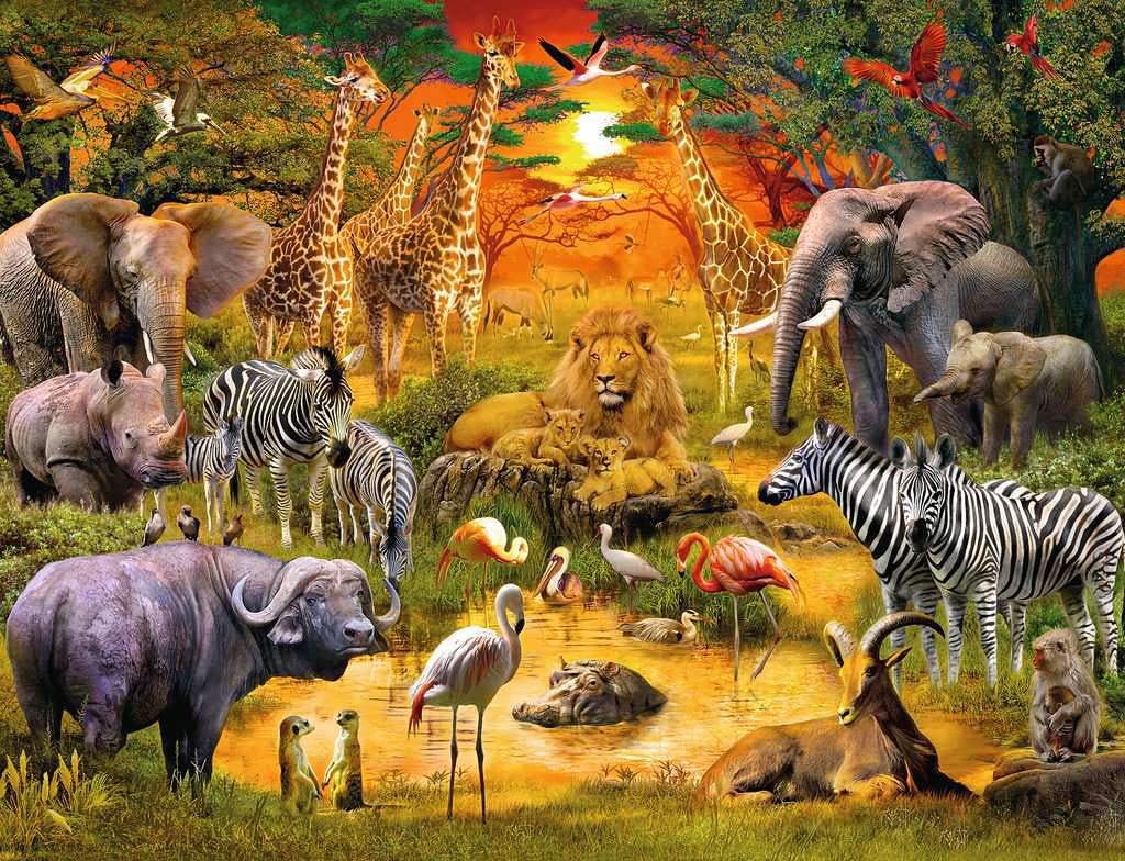 Gathering at the Waterhole