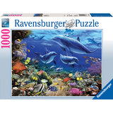 Family of Dolphins Puzzle 1000 pcs