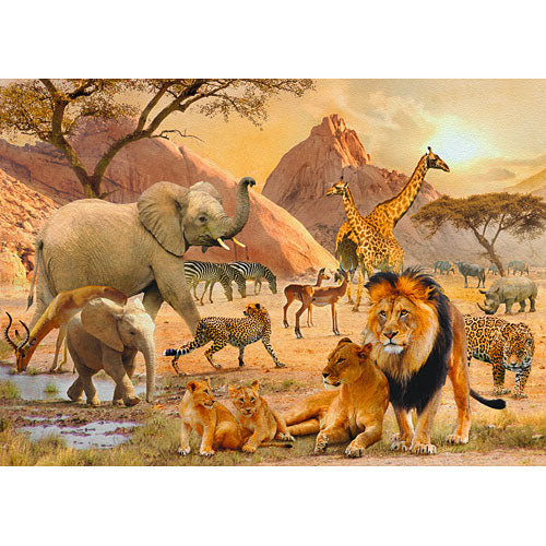 African Wildlife