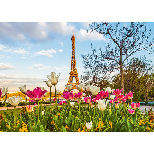 Eiffel Tulips