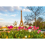 Eiffel Tulips