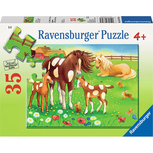 Cute Horses