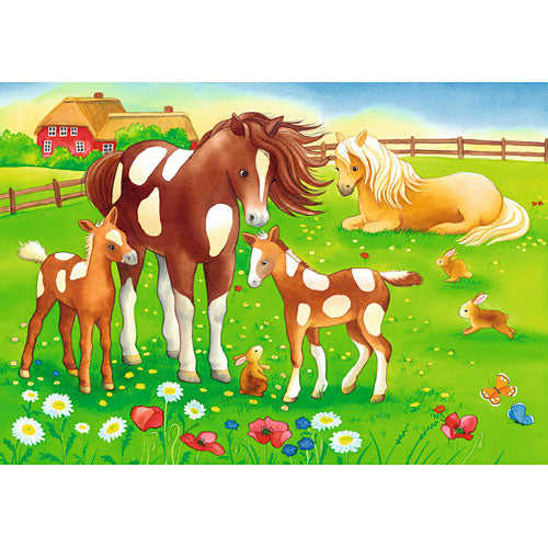Cute Horses