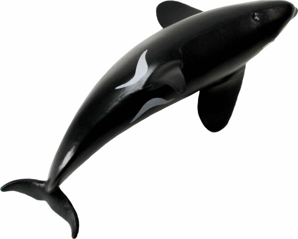 Type D Orca Toy Figure – Givens Books & Little Dickens