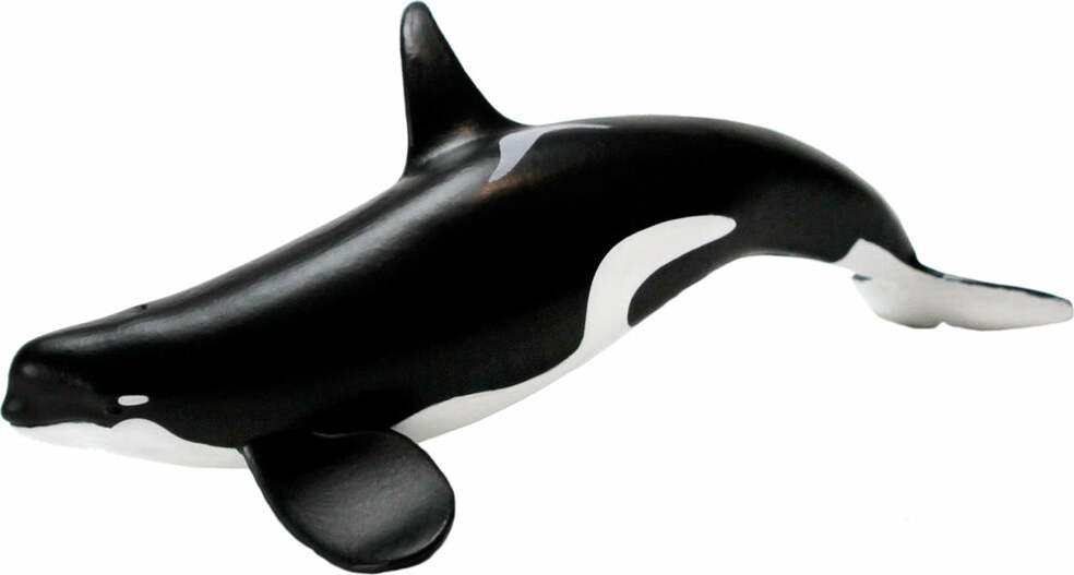 Type D Orca Toy Figure – Givens Books & Little Dickens