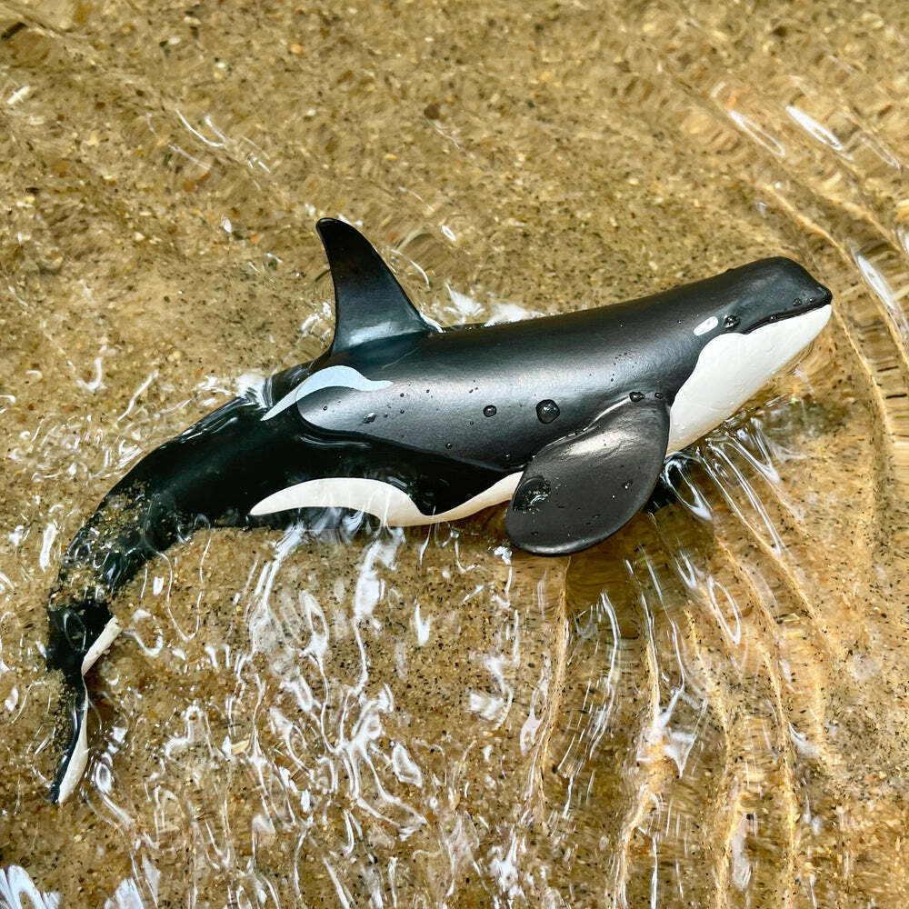 Type D Orca Toy Figure – Givens Books & Little Dickens