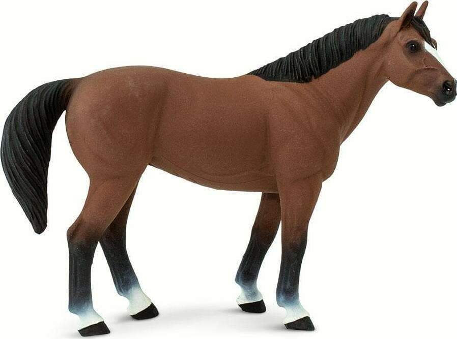 Quarter Horse Brown