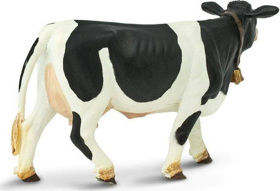 holstein cow