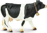 holstein cow