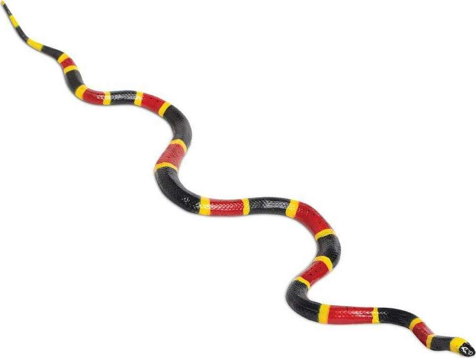 Coral Snake