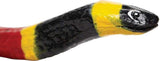 Coral Snake