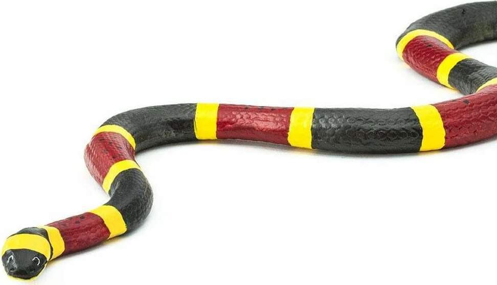 Coral Snake