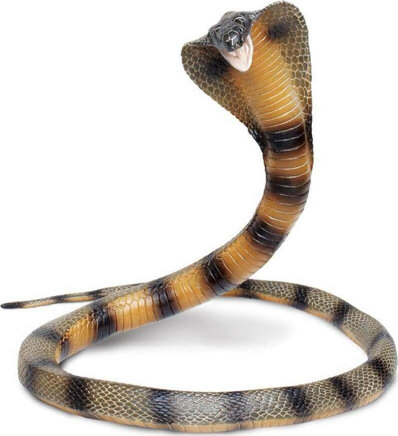 IC Cobra