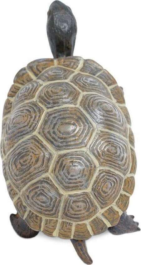 Incredible Creatures Galapagos Baby Tortoise