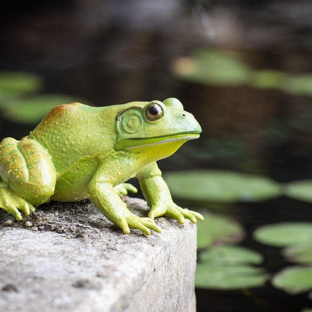 Incredible Creatures American Bullfrog