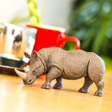 White Rhino