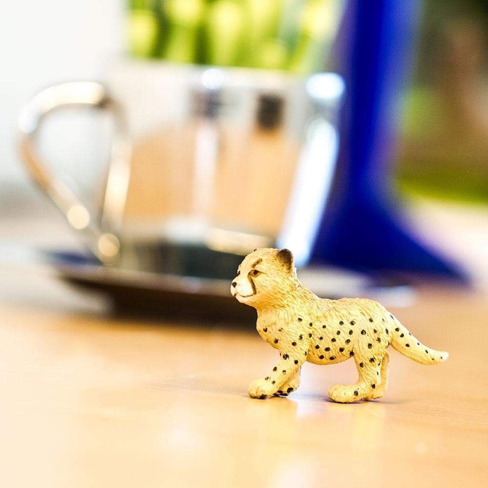 Cheetah Cub