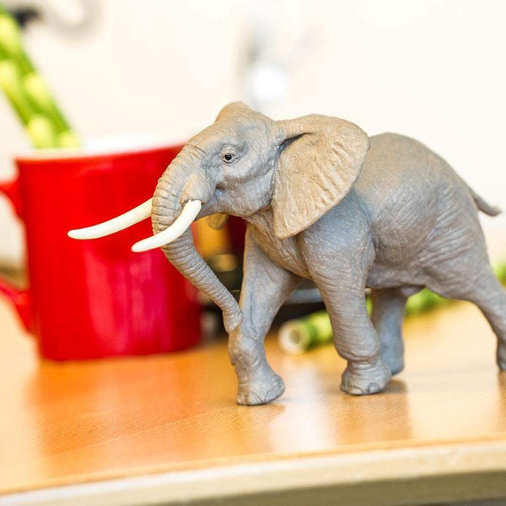 African Bull Elephant