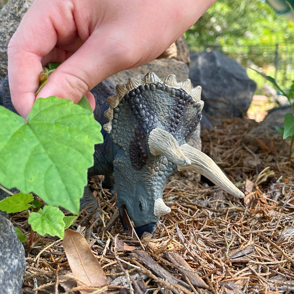Triceratops