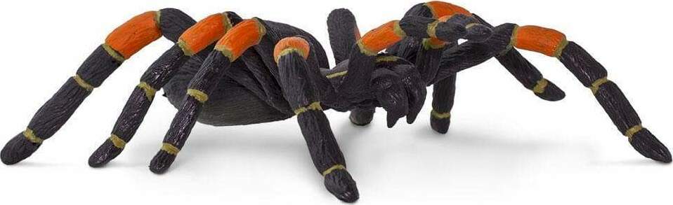 Tarantula