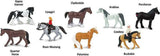 Horses & Riders