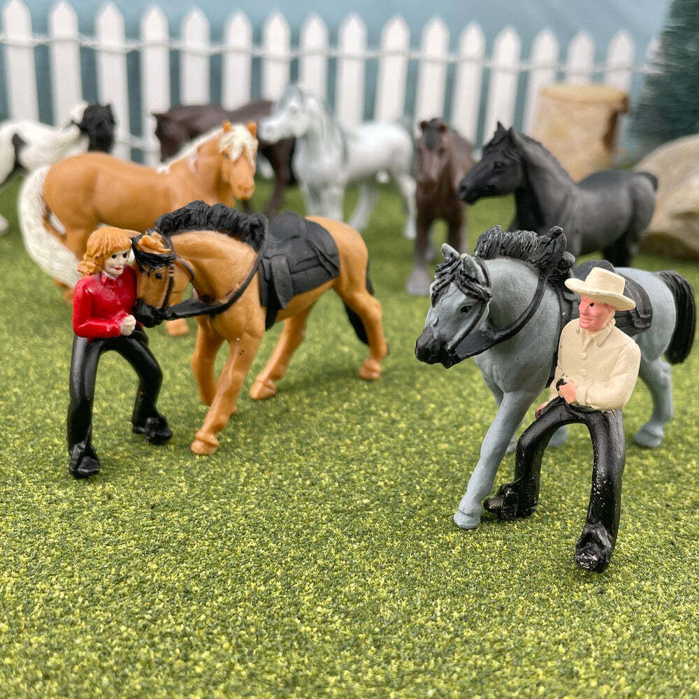Horses & Riders