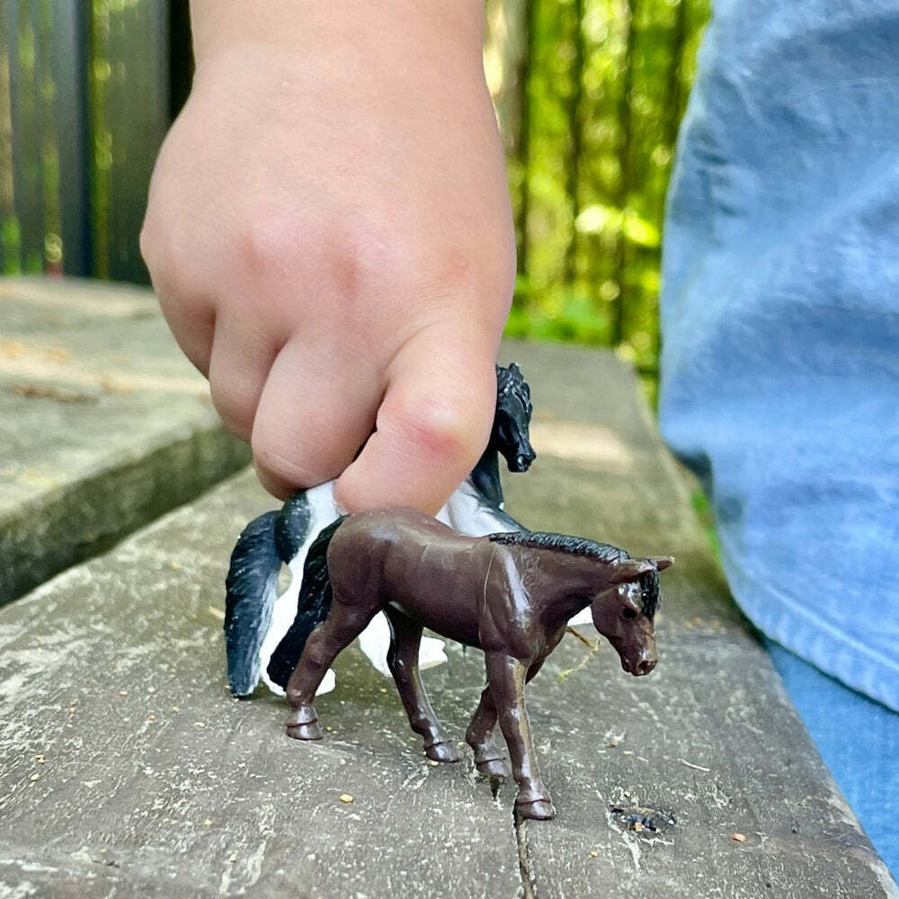 Horses & Riders