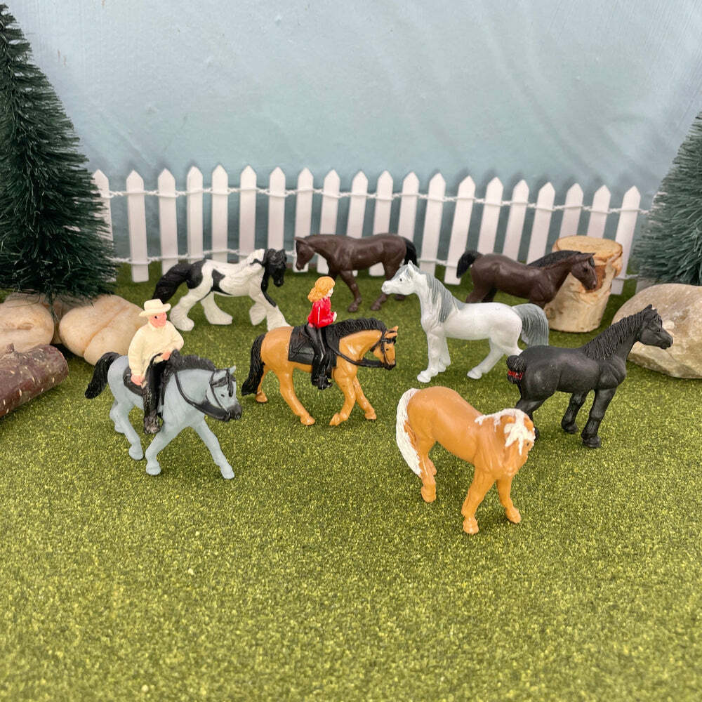 Horses & Riders
