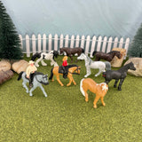 Horses & Riders