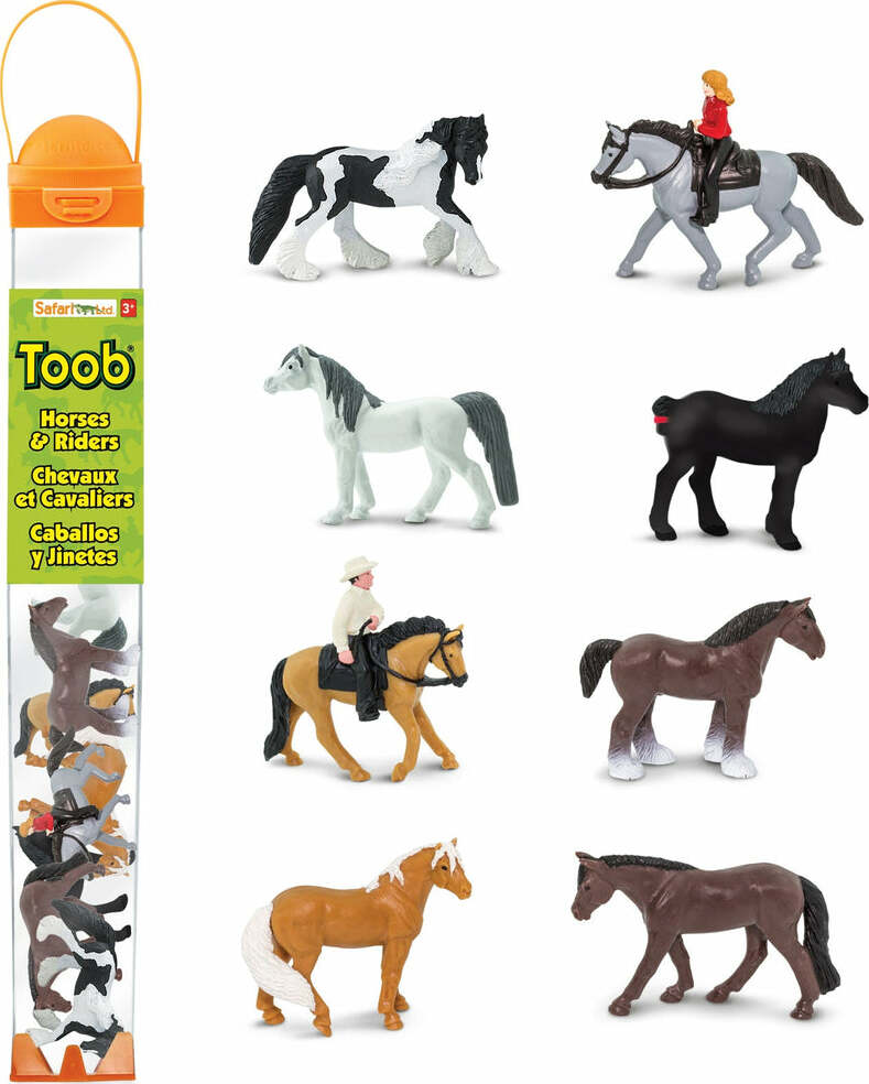 Horses & Riders