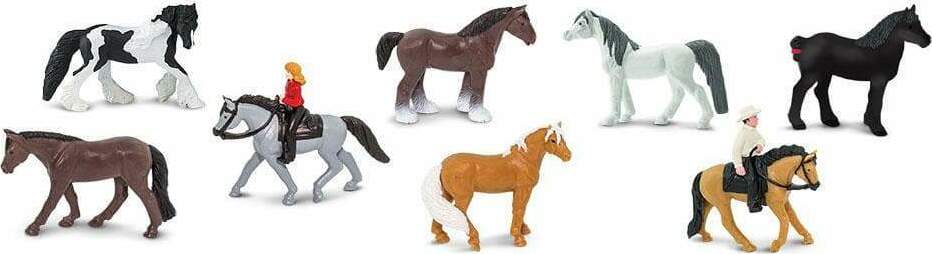 Horses & Riders