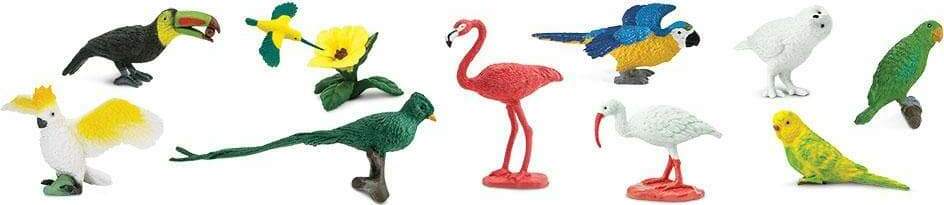 Exotic Birds Toob