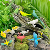 Exotic Birds Toob