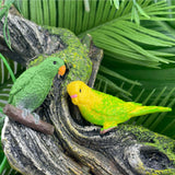Exotic Birds Toob