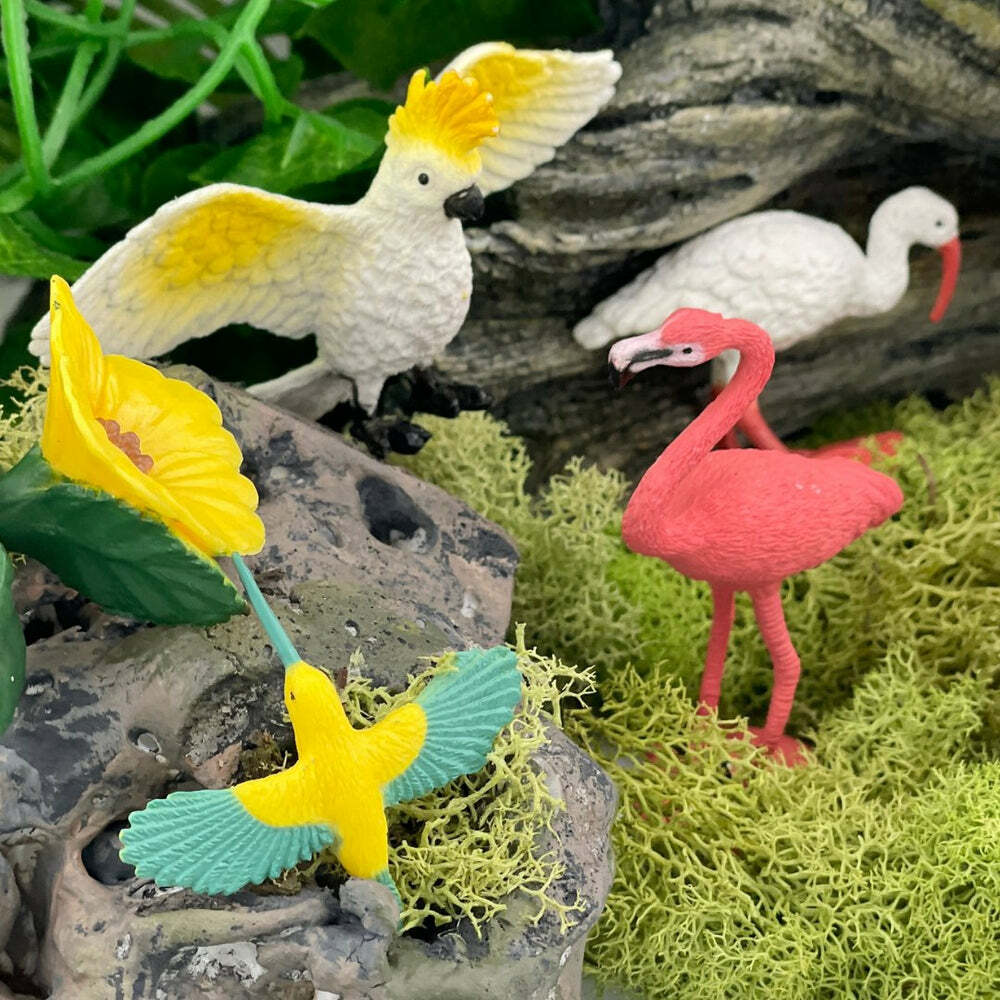 Exotic Birds Toob