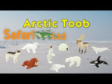 Toob Arctic