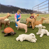 Petting Zoo Toob