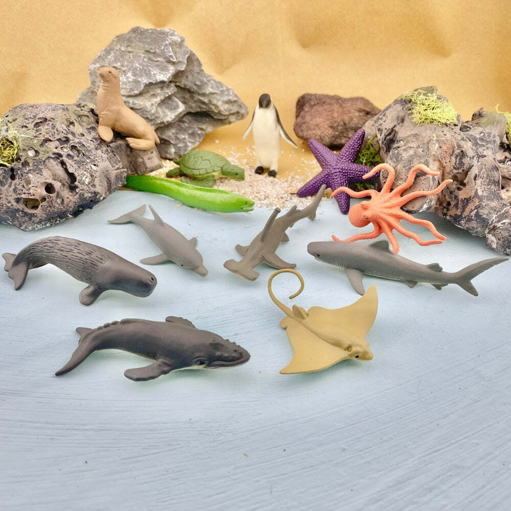 Toob Ocean