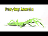 Toob Insects