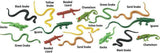 Toob Reptiles