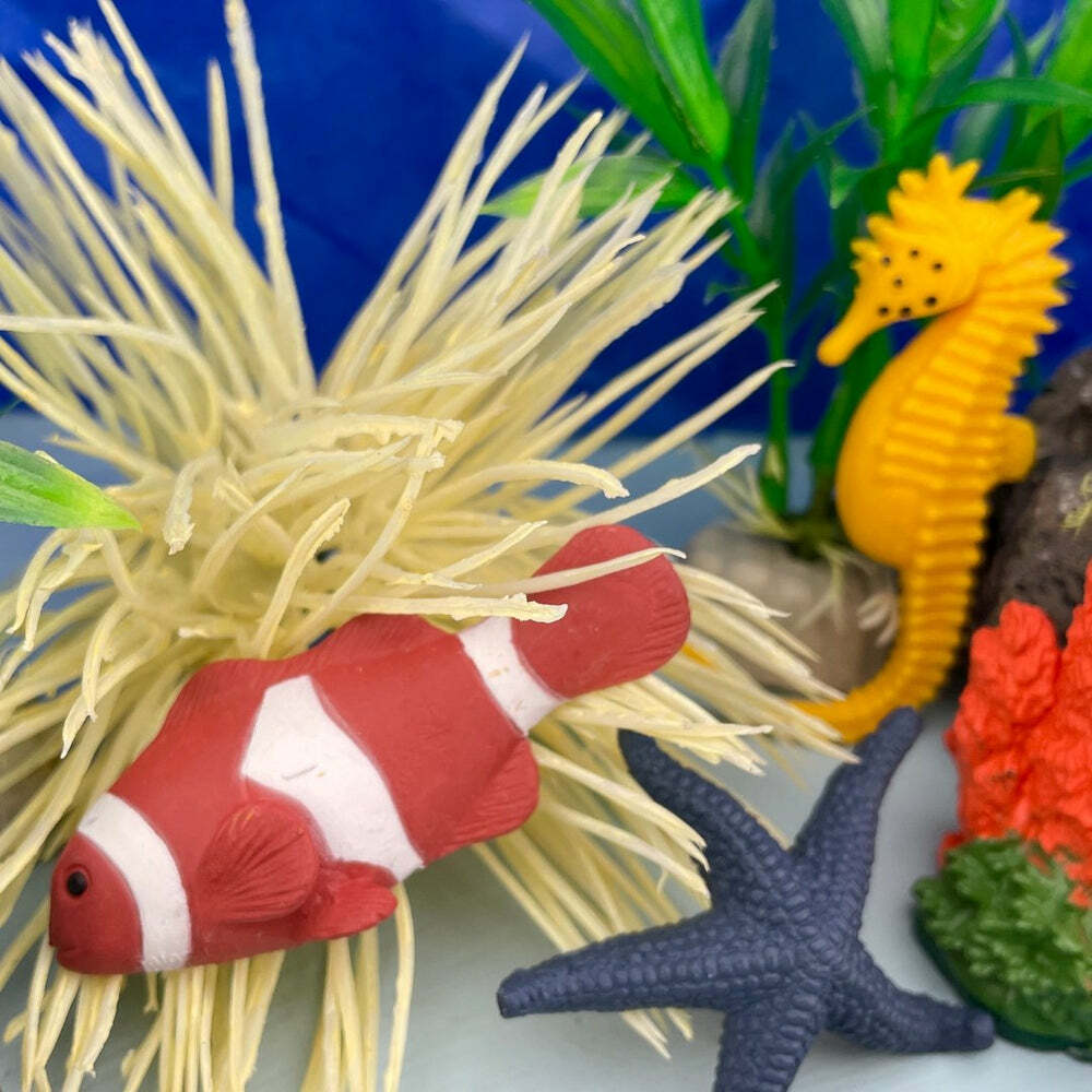 Toob Coral Reef