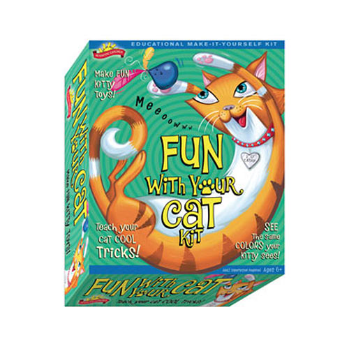 Fun with Your Cat