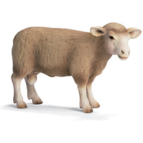 RAM