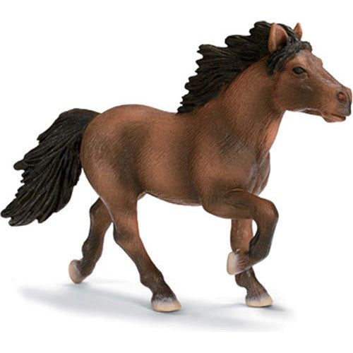 Unknown Horse 2